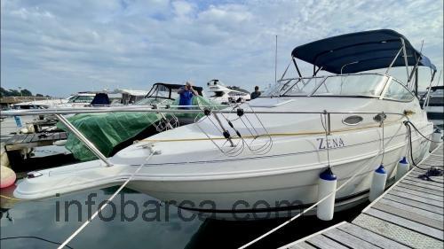 Wellcraft Martinique 2400 scheda tecnica e recensioni